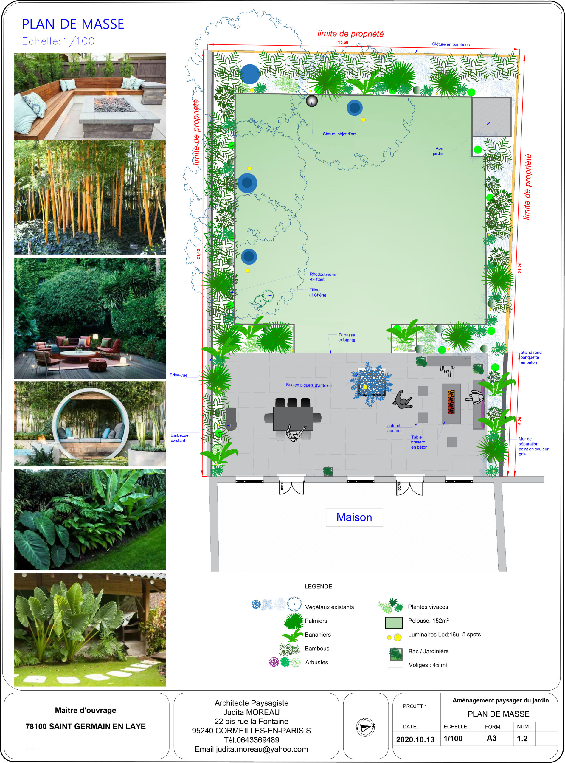 Réalisation d'un jardin tropical