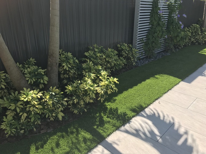 This is an example of a mid-sized contemporary backyard partial sun xeriscape in Miami with natural stone pavers and a vinyl fence.