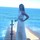 clarita_fox