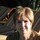Maureen Sullivan