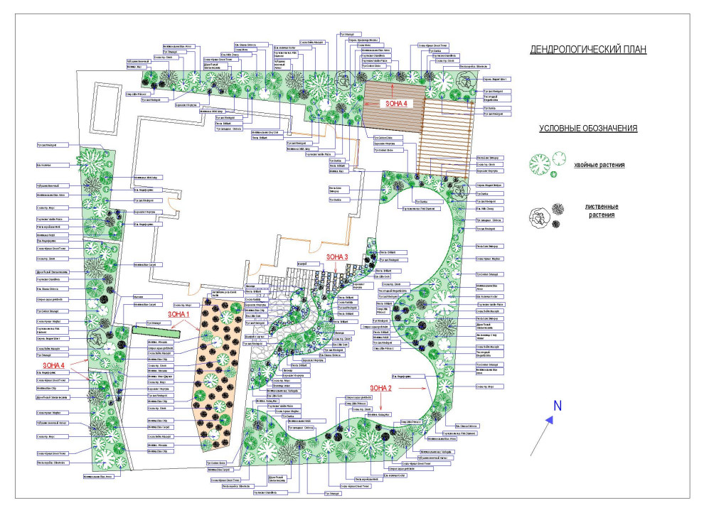 Дендрологический план
