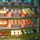 archna_agrawal68