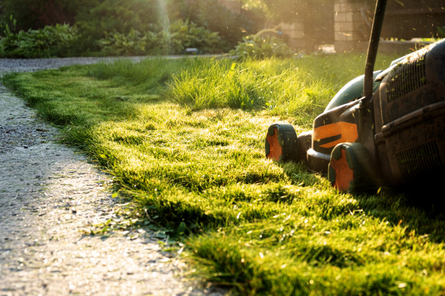 Juan Landscaping jardin
