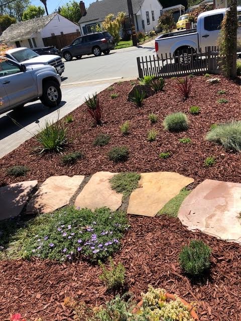 Drought Tolerant Landscaping- Front & Backyard