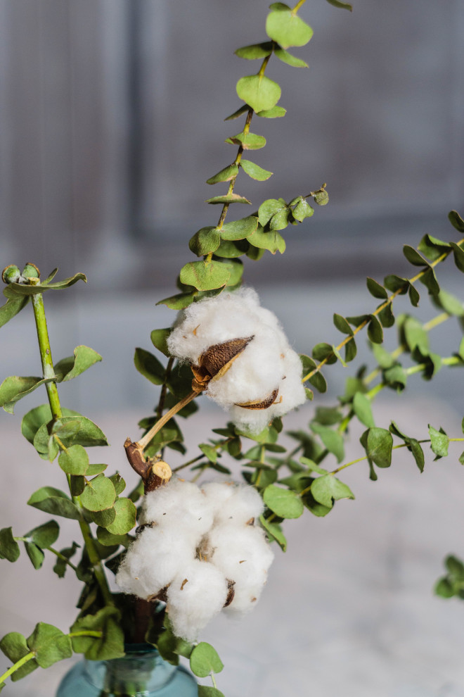 Коллекция Lago