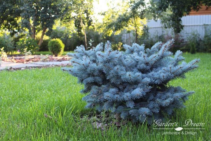 Ландшафтный дизайн и благоустройство терри