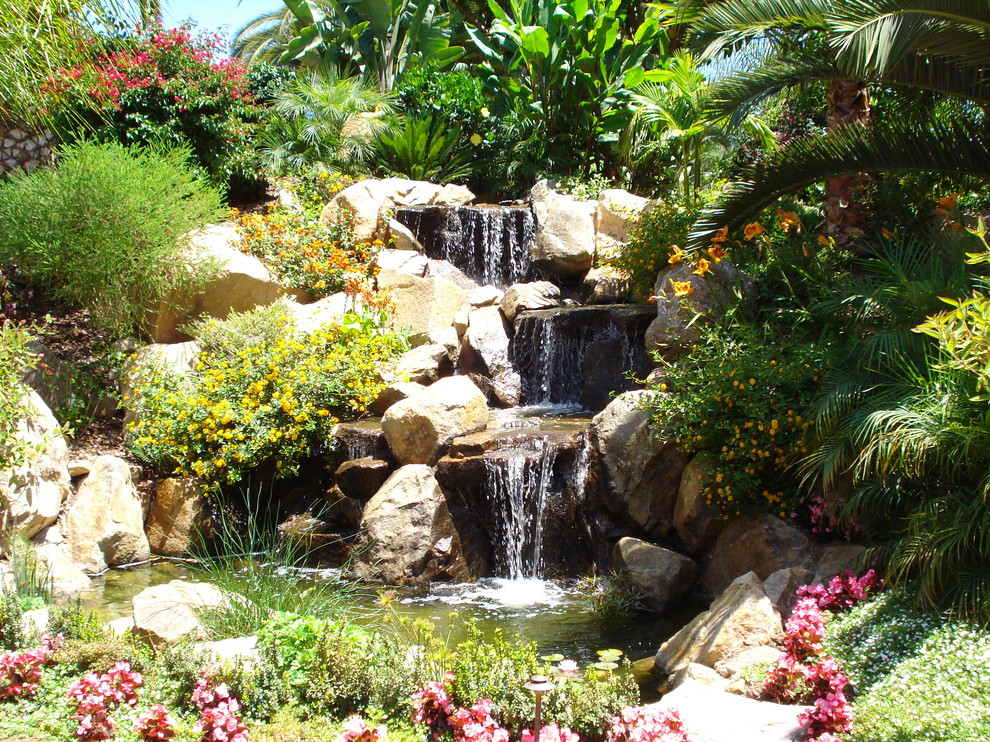 Tropical garden in San Diego.