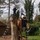 Last commented by Rose Ratliffe