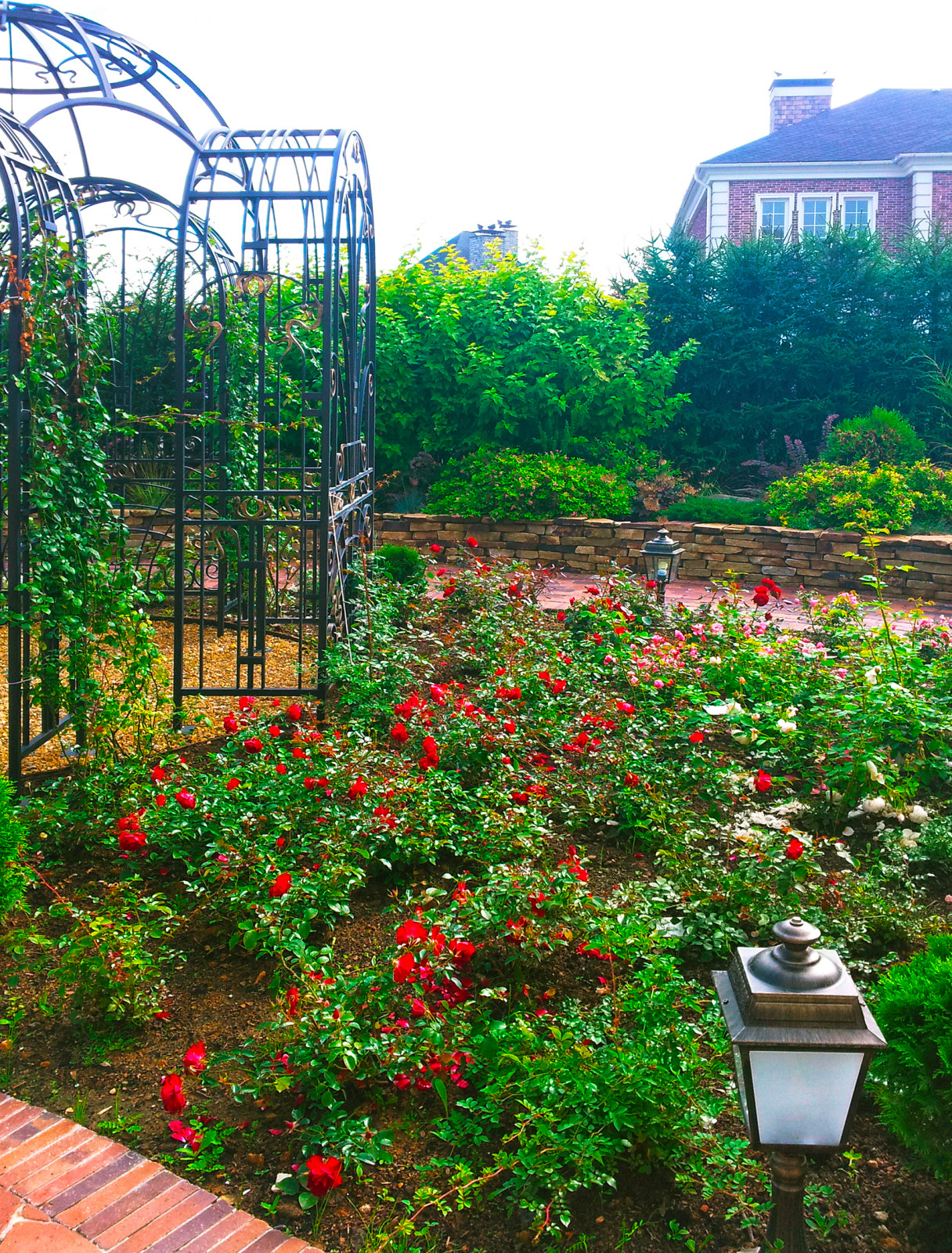 По проекту участка в центре розария кованая беседка.