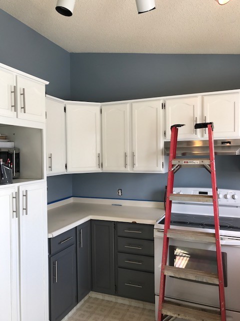Mid-sized transitional u-shaped ceramic tile enclosed kitchen photo in Edmonton with a drop-in sink, shaker cabinets, blue cabinets, quartzite countertops, gray backsplash, ceramic backsplash, stainless steel appliances and an island