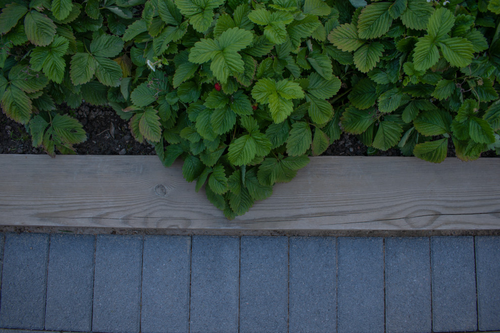 Реализация проекта частного участка в Репино