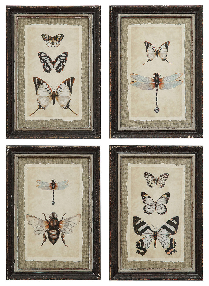 Wood Framed Vintage Insect Prints