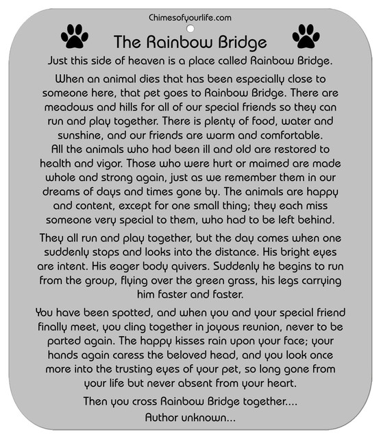 Wind Chime Poem Rocketshotz Chimes Of Your Life Dog Rainbow Bridge Poem Pet Memorial Wind