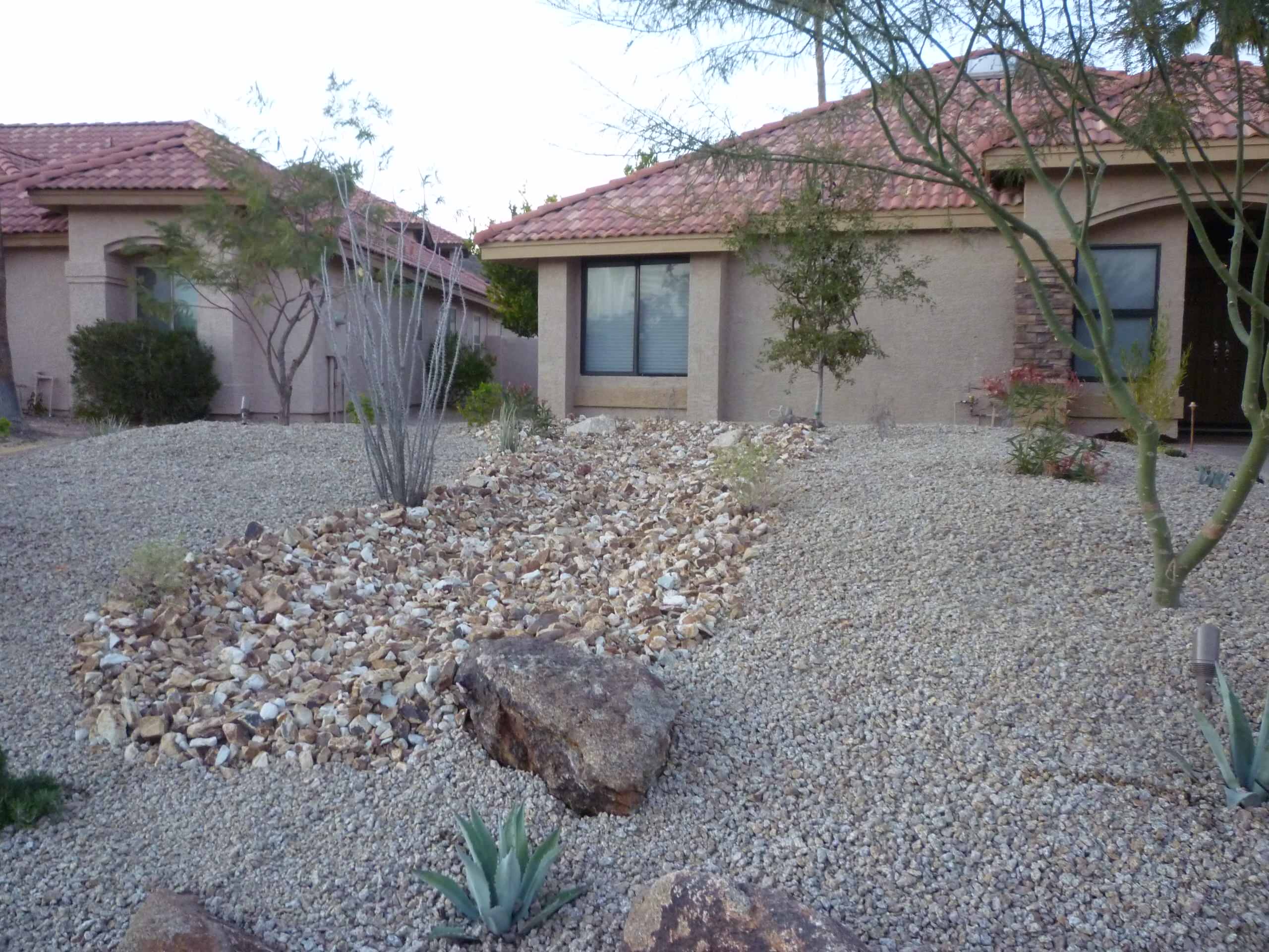 Front Yard Desert Landscape