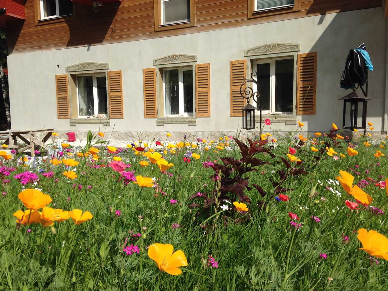 озеленение частной территории