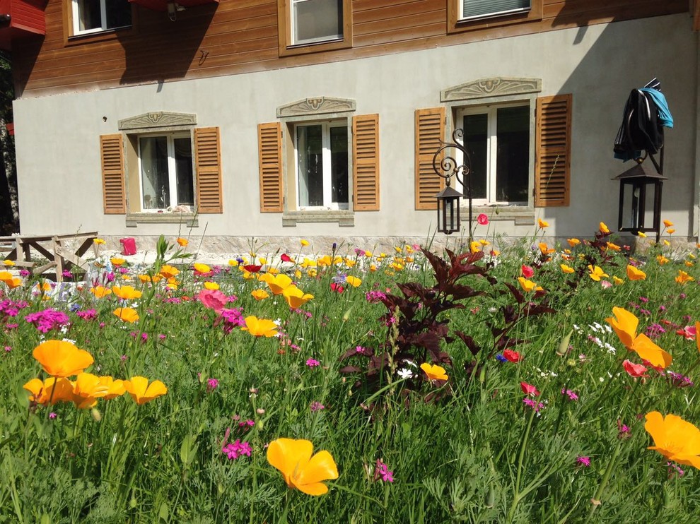 озеленение частной территории