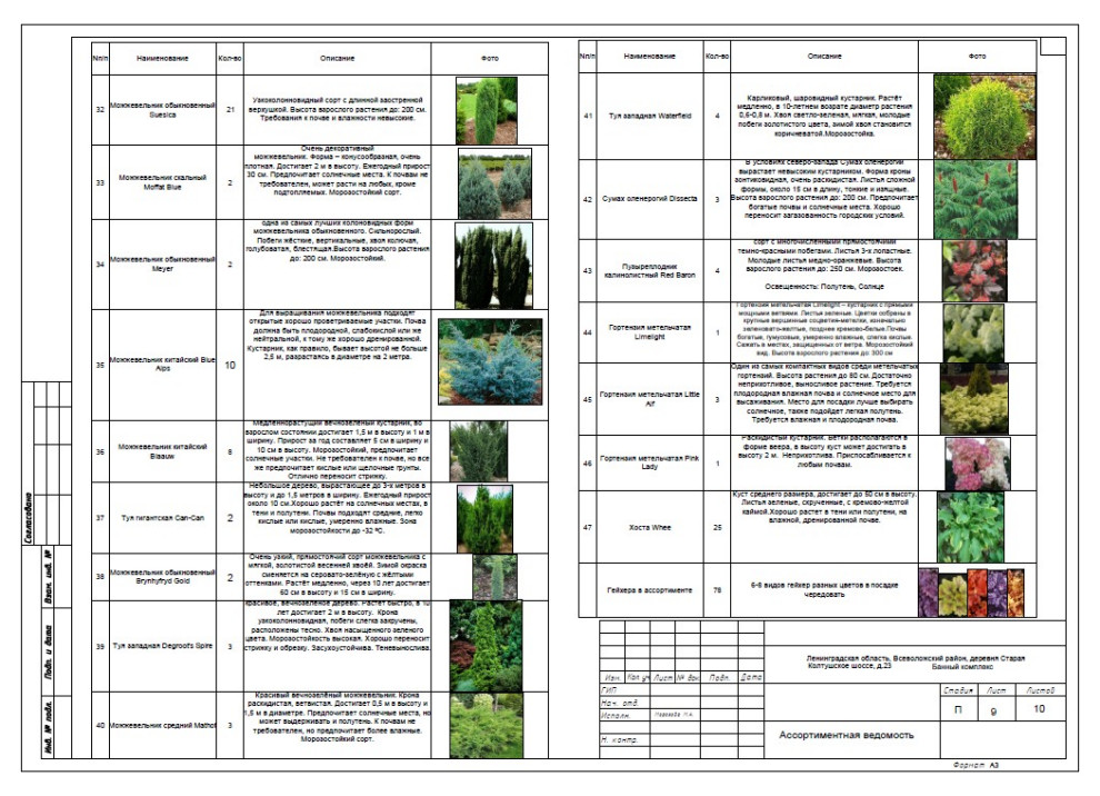 Деревня Старая. Банный комплекс