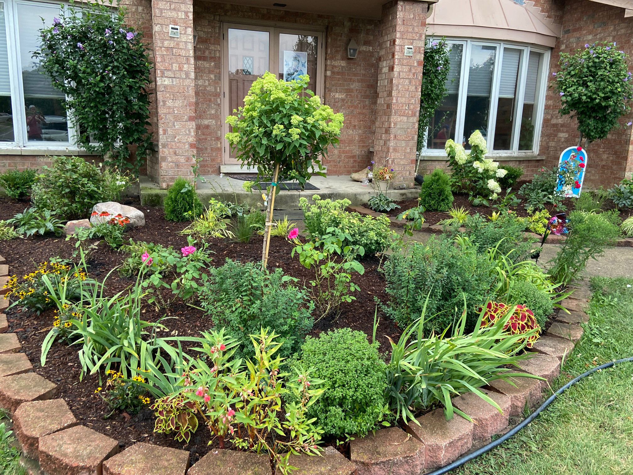 Front yard facelift