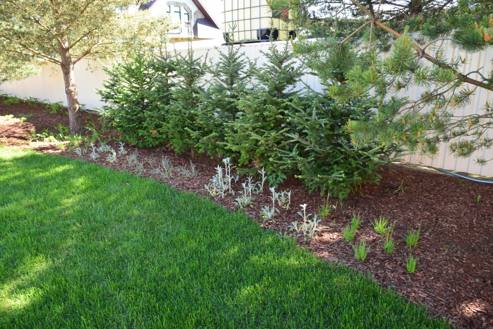 Лен. область. поселок Морозова