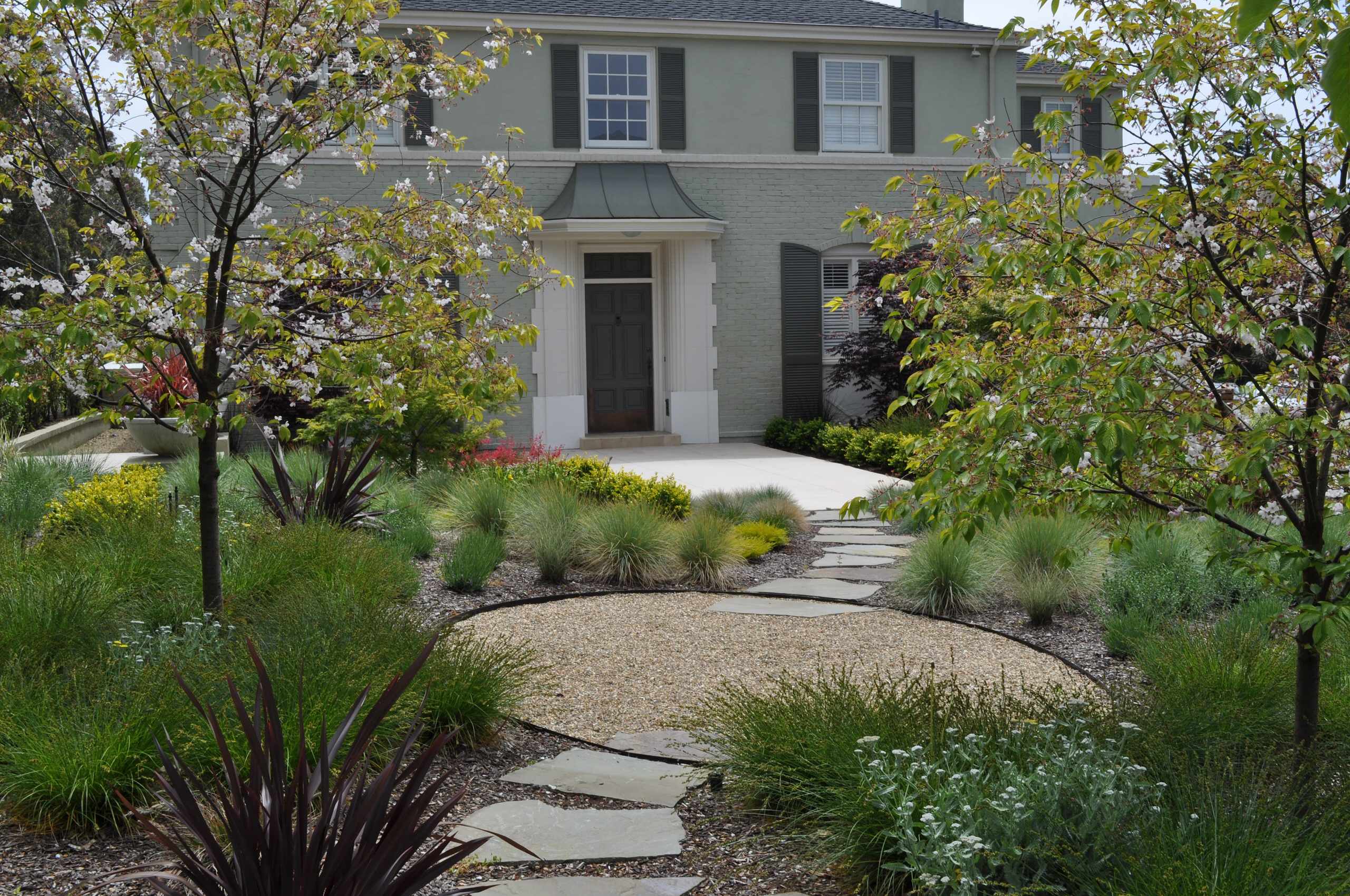 Inspiration for a contemporary drought-tolerant landscaping in San Francisco.