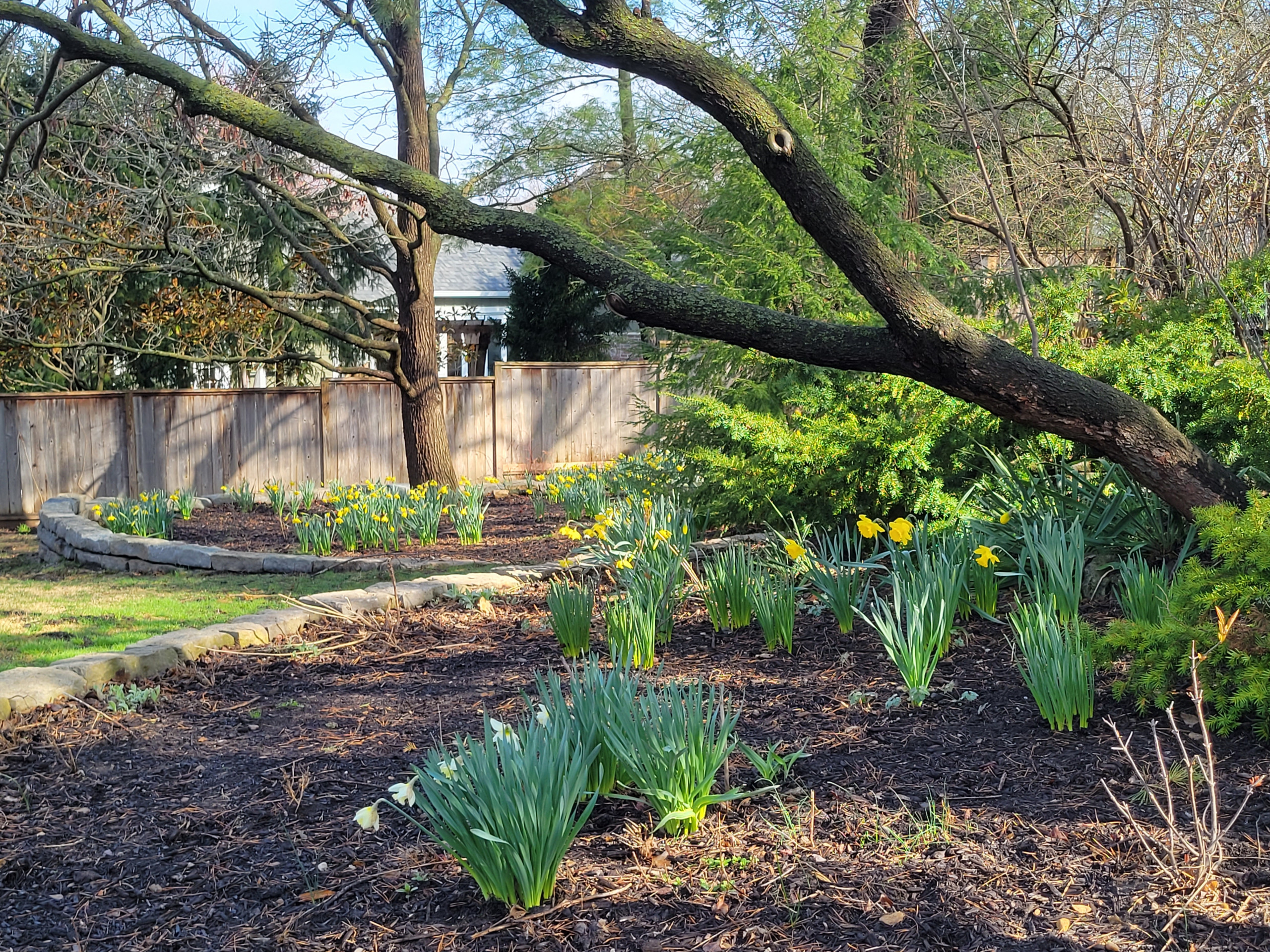 Spring Garden Stroll
