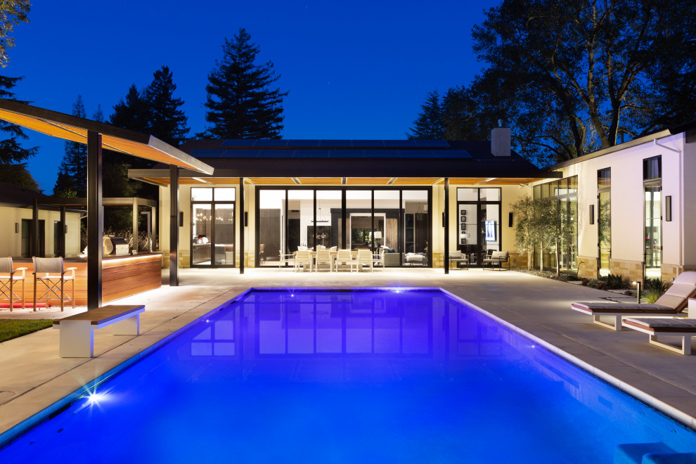 Photo of an expansive modern front custom shaped natural swimming pool in San Francisco with with pool landscaping and concrete paving.