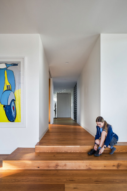 Goodtown House contemporary-entre