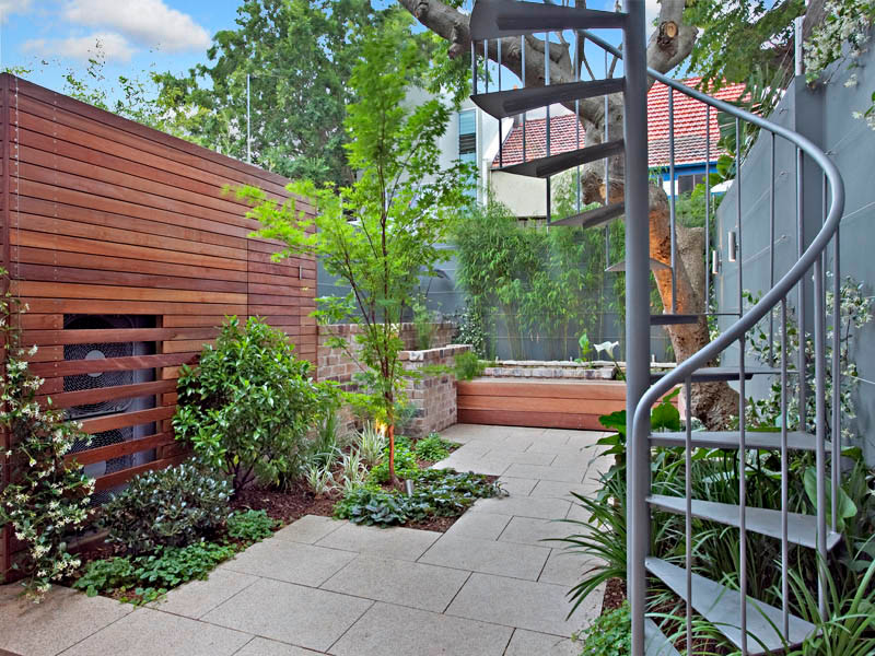 Small modern courtyard garden in Sydney.