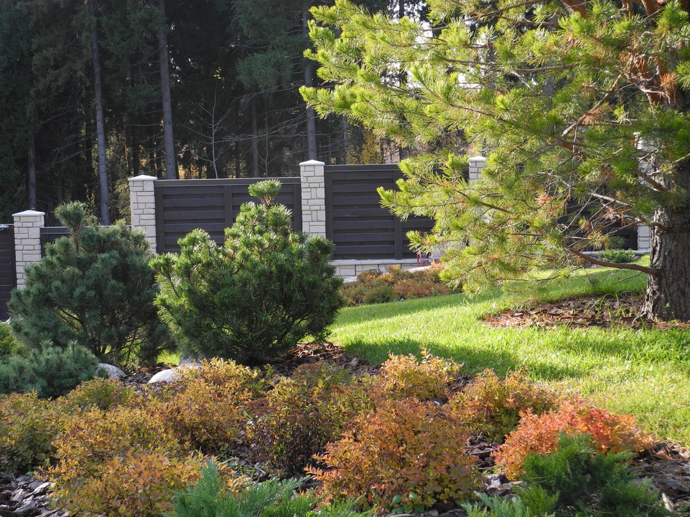 Сосны и спиреи