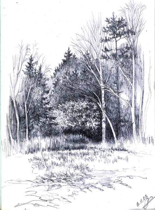 Мои черно-белые рисунки