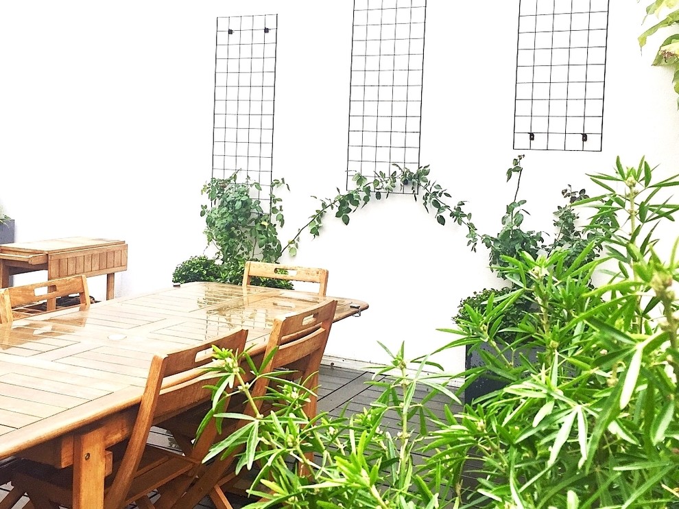 Immagine di un patio o portico design di medie dimensioni e in cortile con un giardino in vaso e pedane