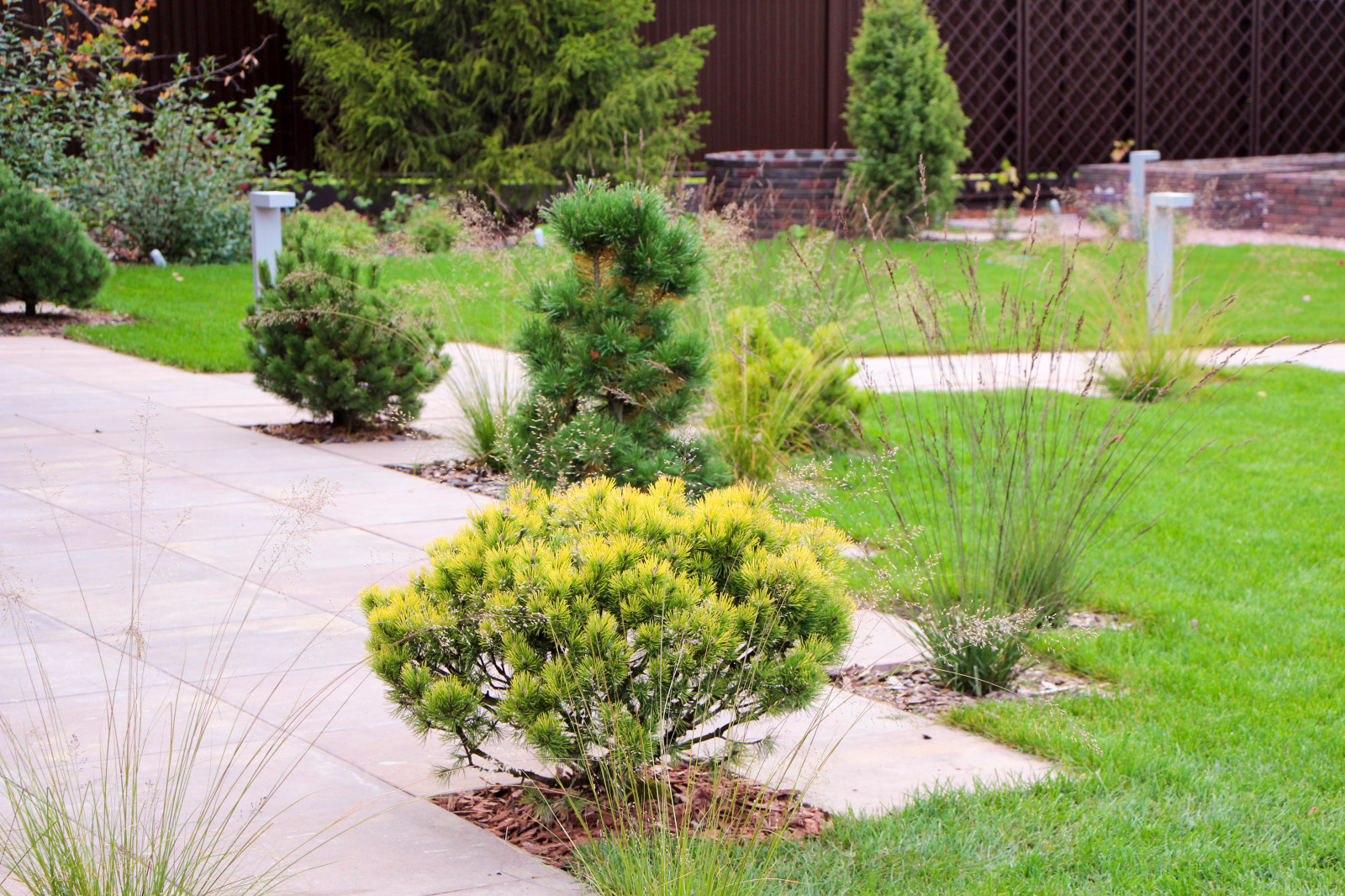 Петровское, 2018-2020 гг.