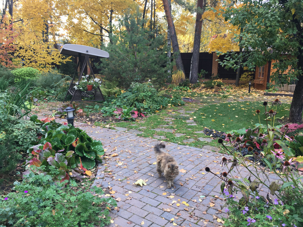 Белкин сад. Осень 2019