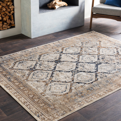 Harristown Vintage Style Distressed Tan, Blue And Tan Area Rugs