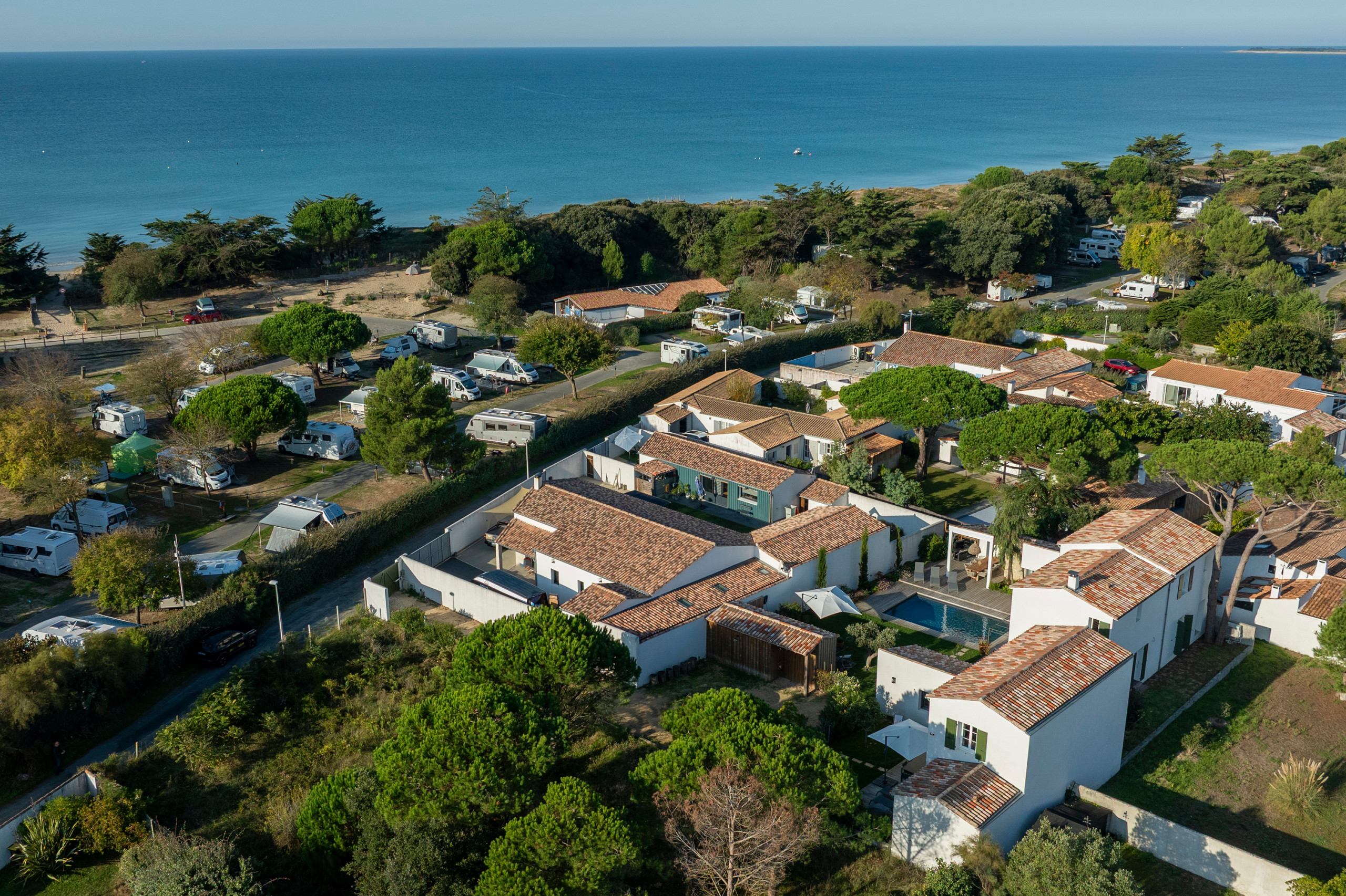 L'ILE AUX PINS