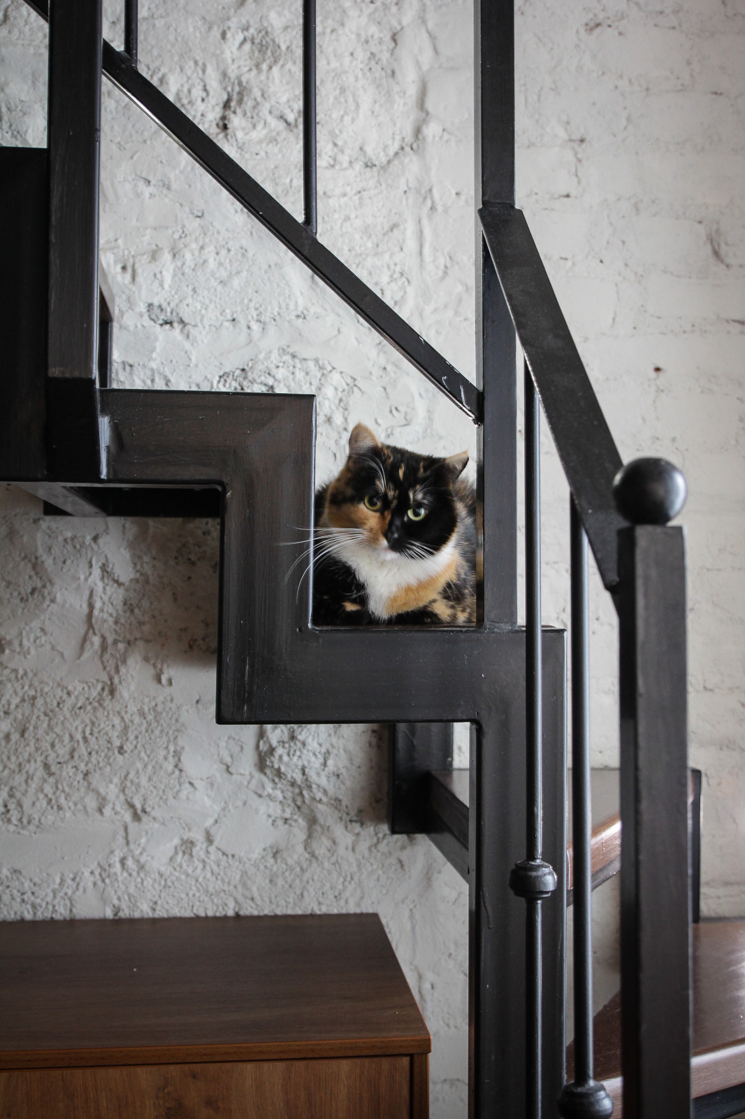 В сердце Старого Города.