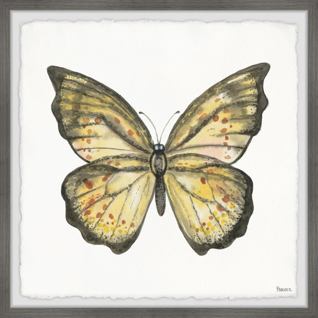 "Big Yellow Mariposa" Framed Painting Print, 32"x32", 32"x32"