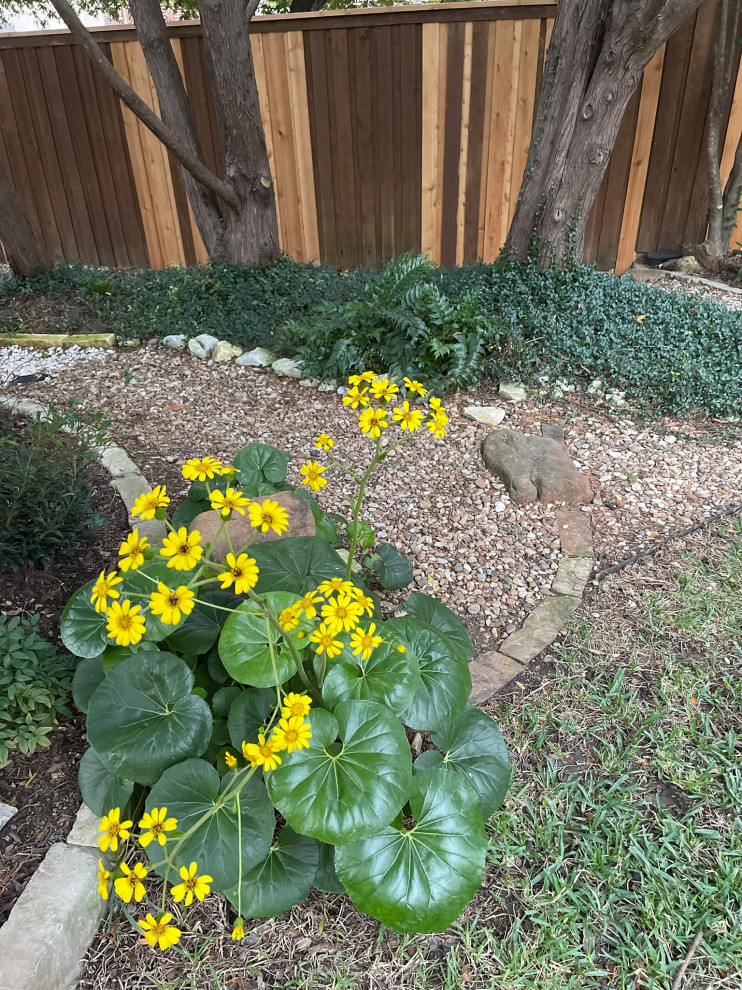 Plano Landscape Design