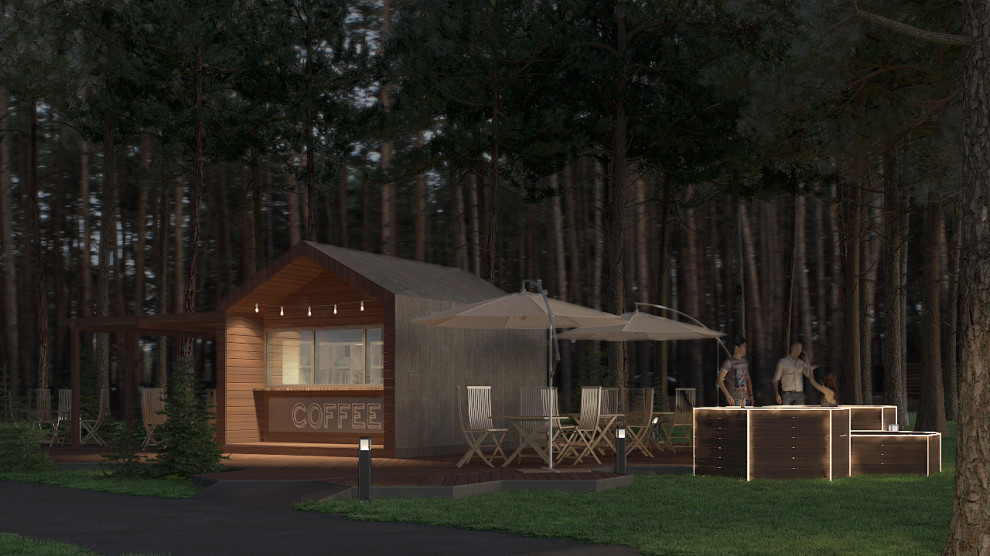 Проект организации нестационарного торгового объекта