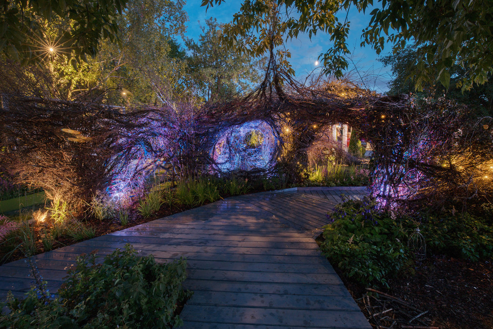 Фотосъемка Сада по сказке СиняяПтица на MFS 2019 Авторы М,Береснева М. ПРИНТЦ