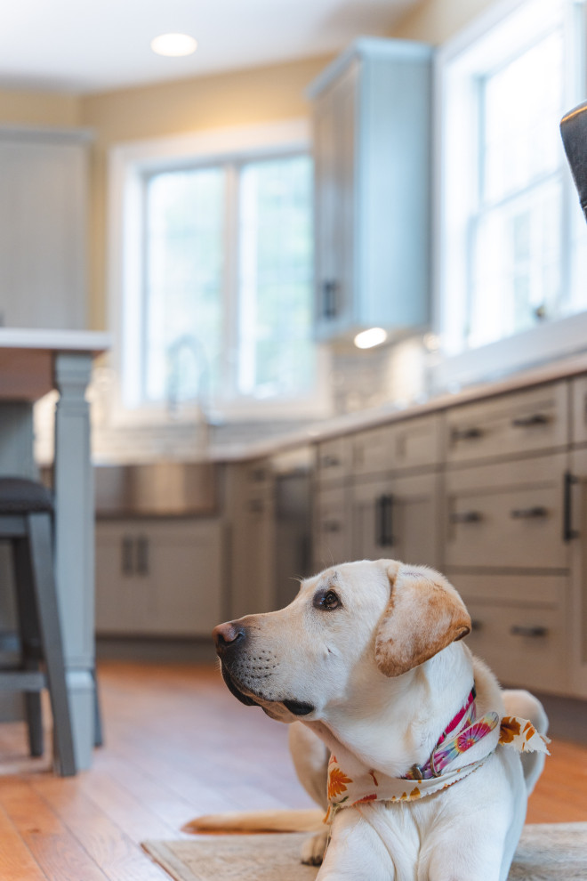 Large transitional u-shaped medium tone wood floor and brown floor eat-in kitchen photo with a farmhouse sink, shaker cabinets, gray cabinets, quartz countertops, gray backsplash, glass tile backsplash, stainless steel appliances, an island and white countertops