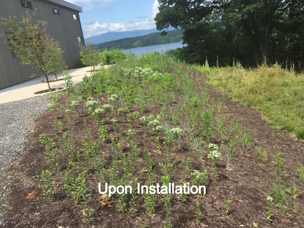 Inspiration for a rustic landscaping in New York.