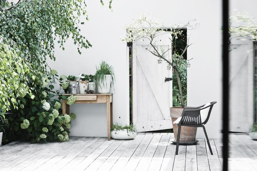 Design ideas for a mid-sized scandinavian courtyard patio in Other with a vertical garden.
