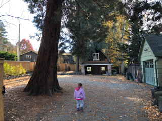 Family Gatherings in Argentina Inspire a Pavilion and Guesthouse (21 photos)