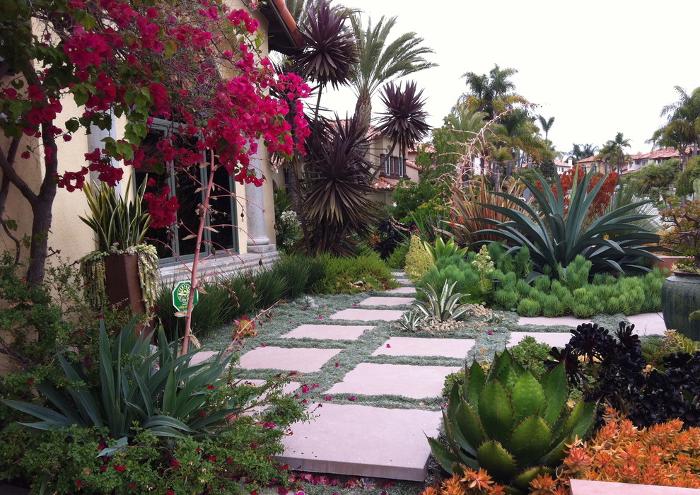 Inspiration for a mediterranean front yard garden in San Diego.
