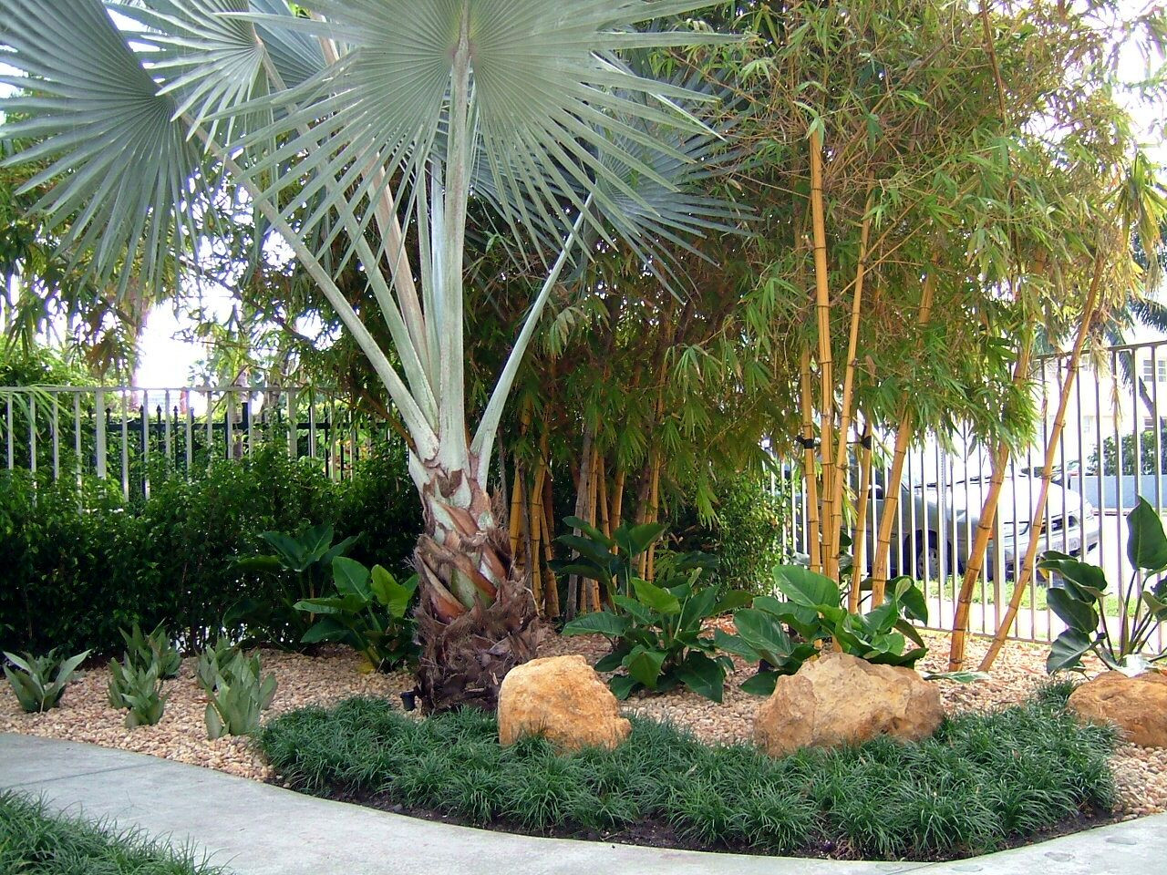 Miami Beach Condo Courtyard