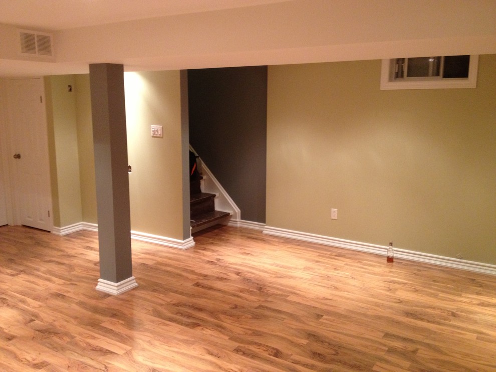 Basement Renovation