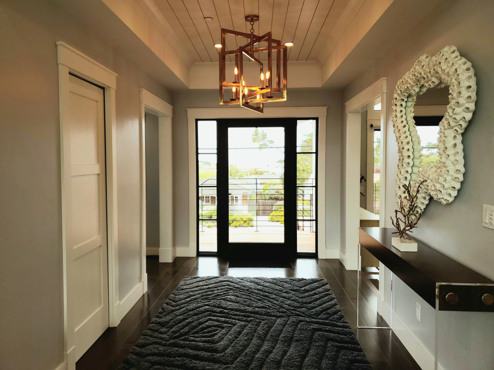 Foyer - mid-sized modern dark wood floor and brown floor foyer idea with blue walls and a black front door
