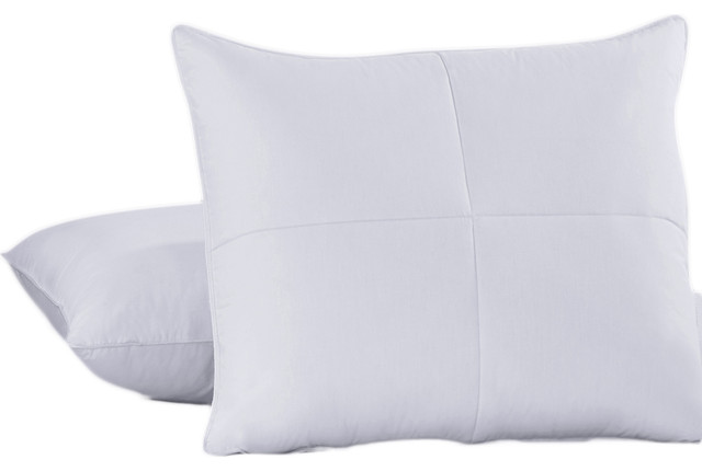 Soft Goose Feathers and Goose Down Pillow, Standard, Set of 2
