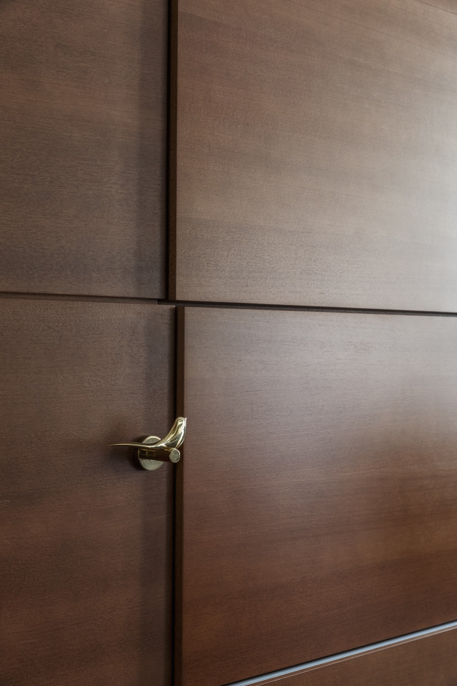 Созвездие Льва